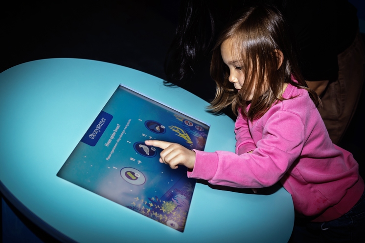 girl with a screen