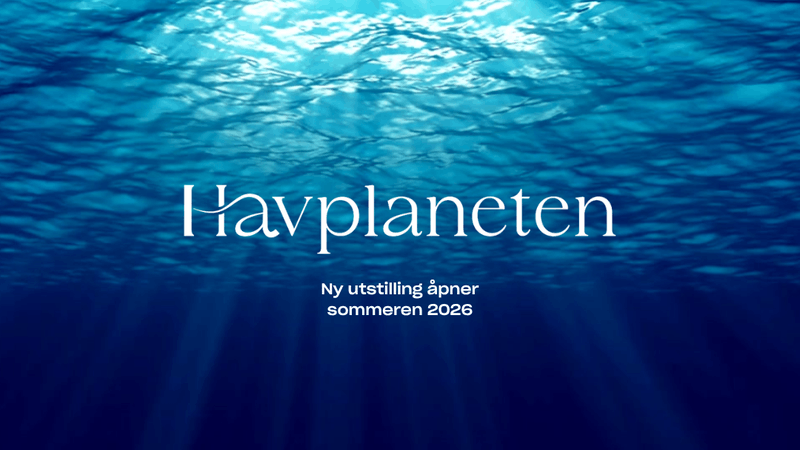 Havplaneten - ny utstilling kommer