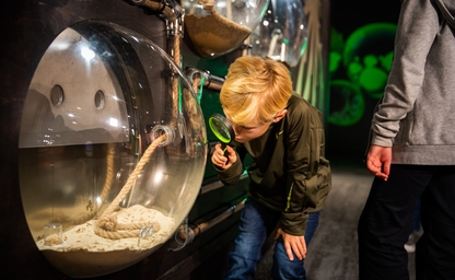 Boy exploring insects