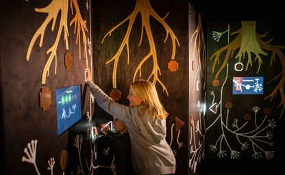 Kids exploring the wood wide web