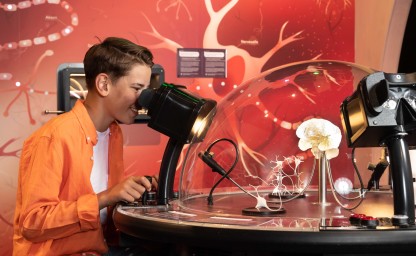 Boy looking through the goggles to explore the virtual model of the brain's nerve cells. 