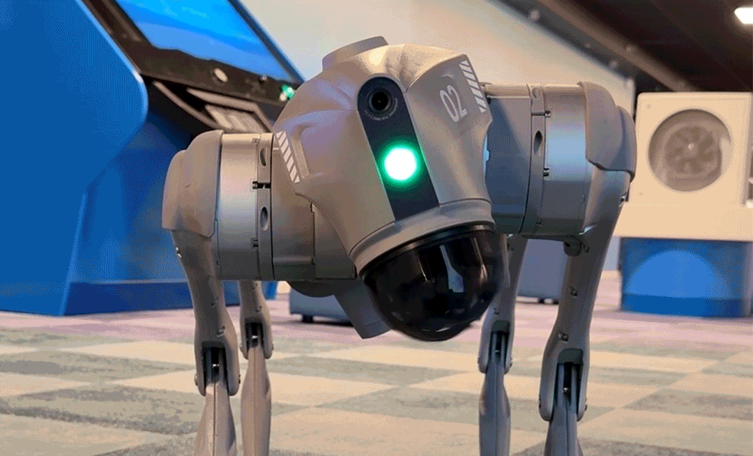 robothund på vilvite
